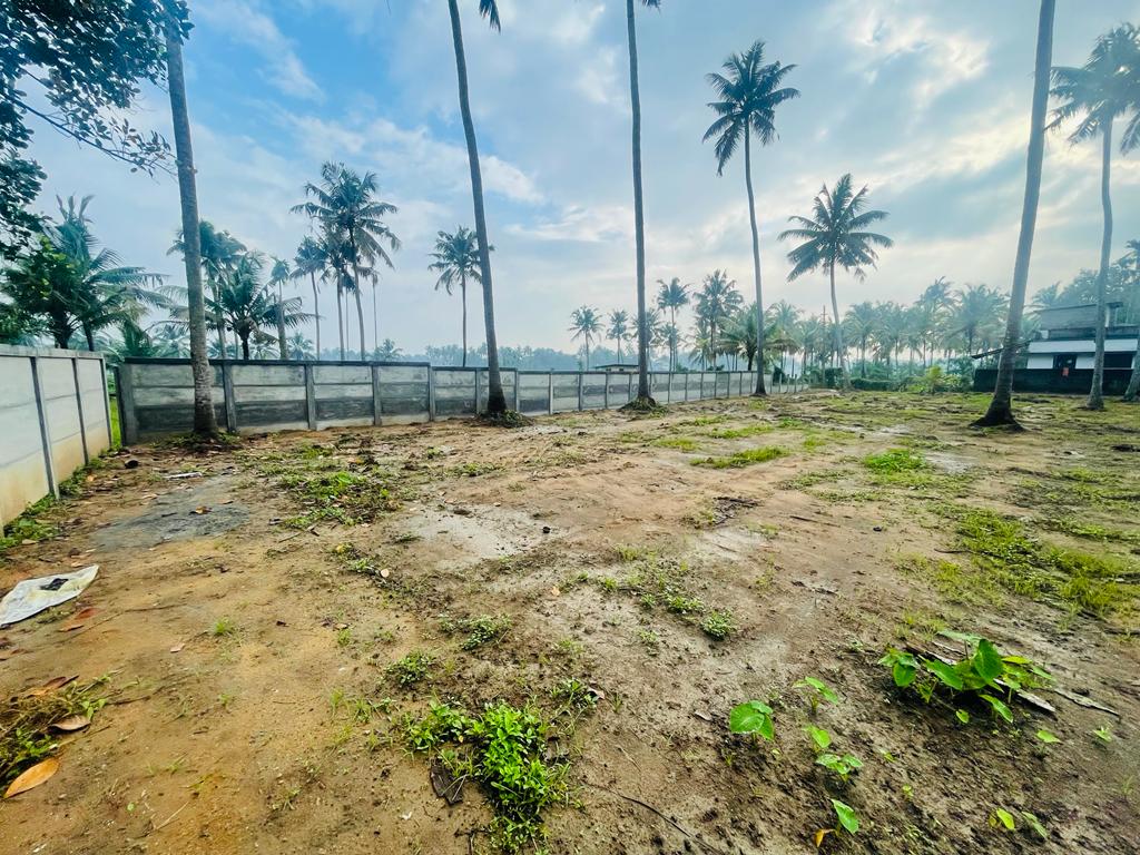 3BHK Semifurnished House 1500 sqft in Koonammavu, Varapuzha