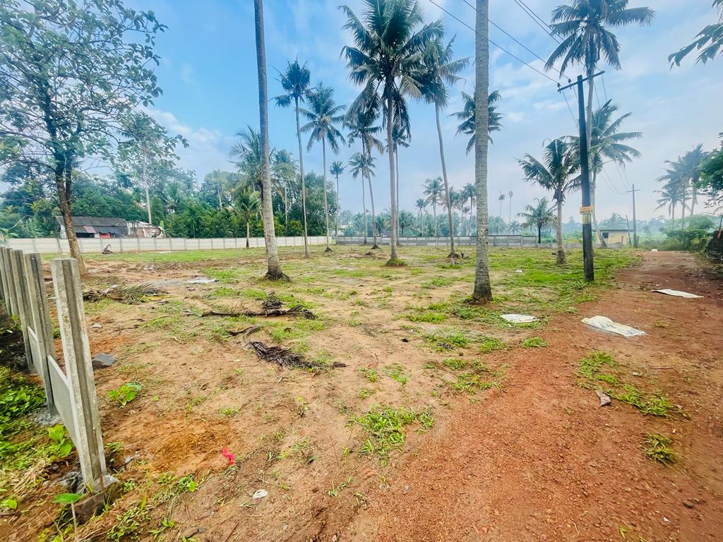 3BHK Semifurnished House 1500 sqft in Koonammavu, Varapuzha
