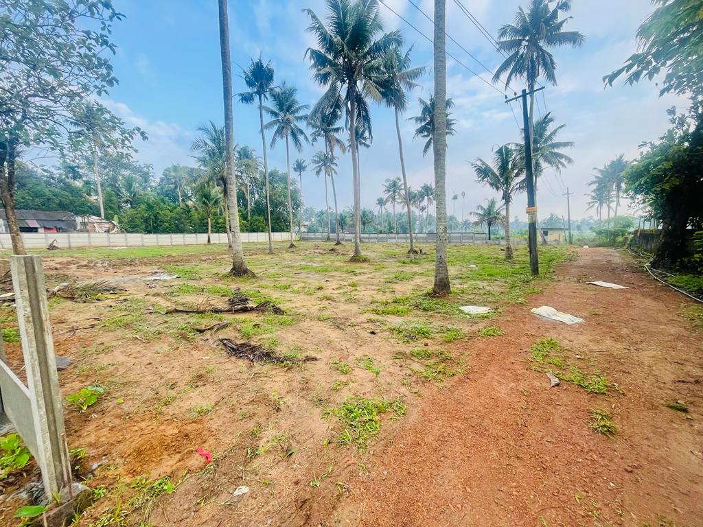 3BHK Semifurnished House 1500 sqft in Koonammavu, Varapuzha