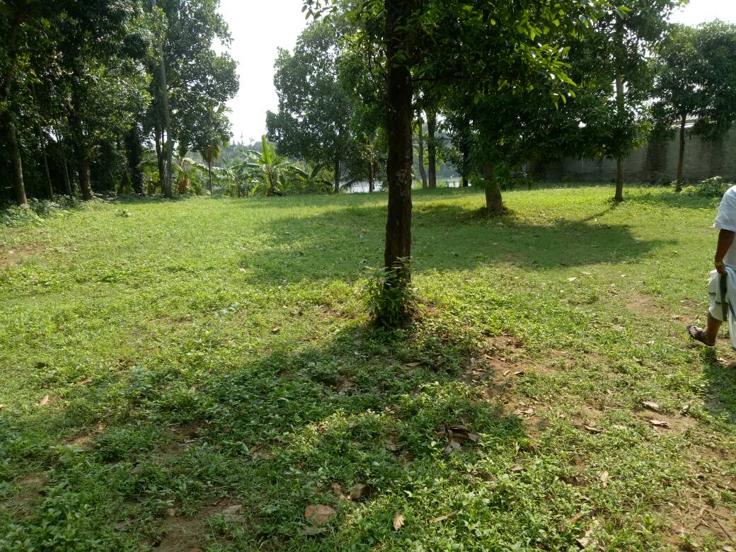 38 Cents of land