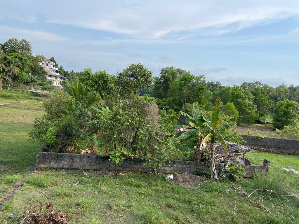 5Cents of Residential Plot