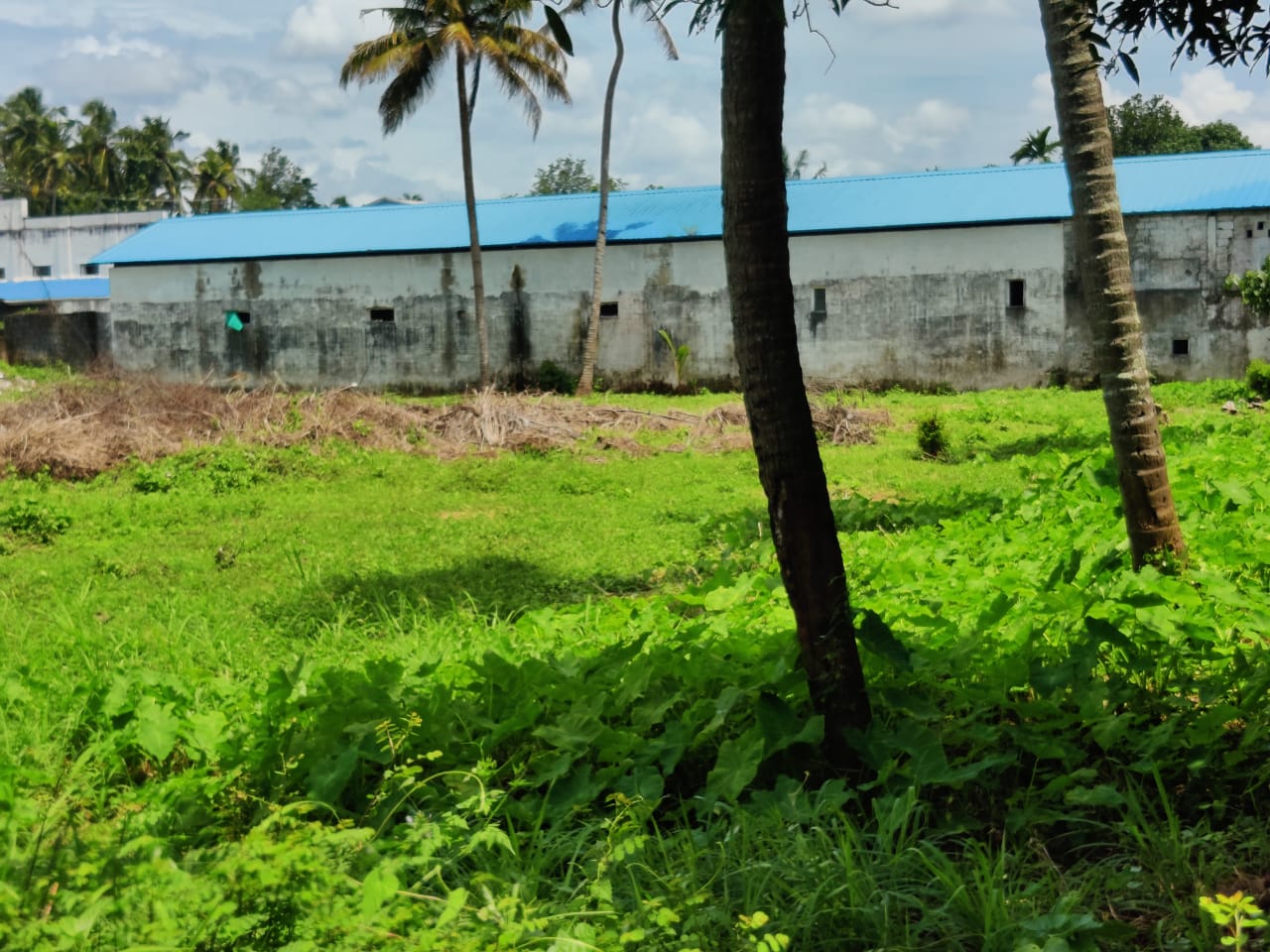 68 Cent land for sale. - for sale in Uc Collegealuva, Kochi ( Ernakulam ), Kerala