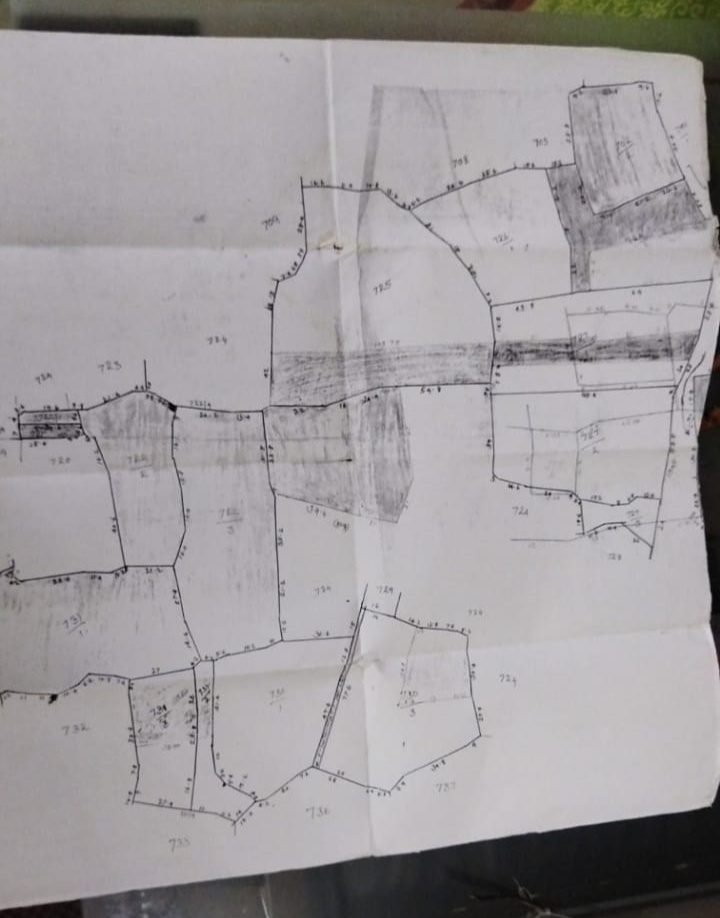 10 Acres of Paddy field for sale.