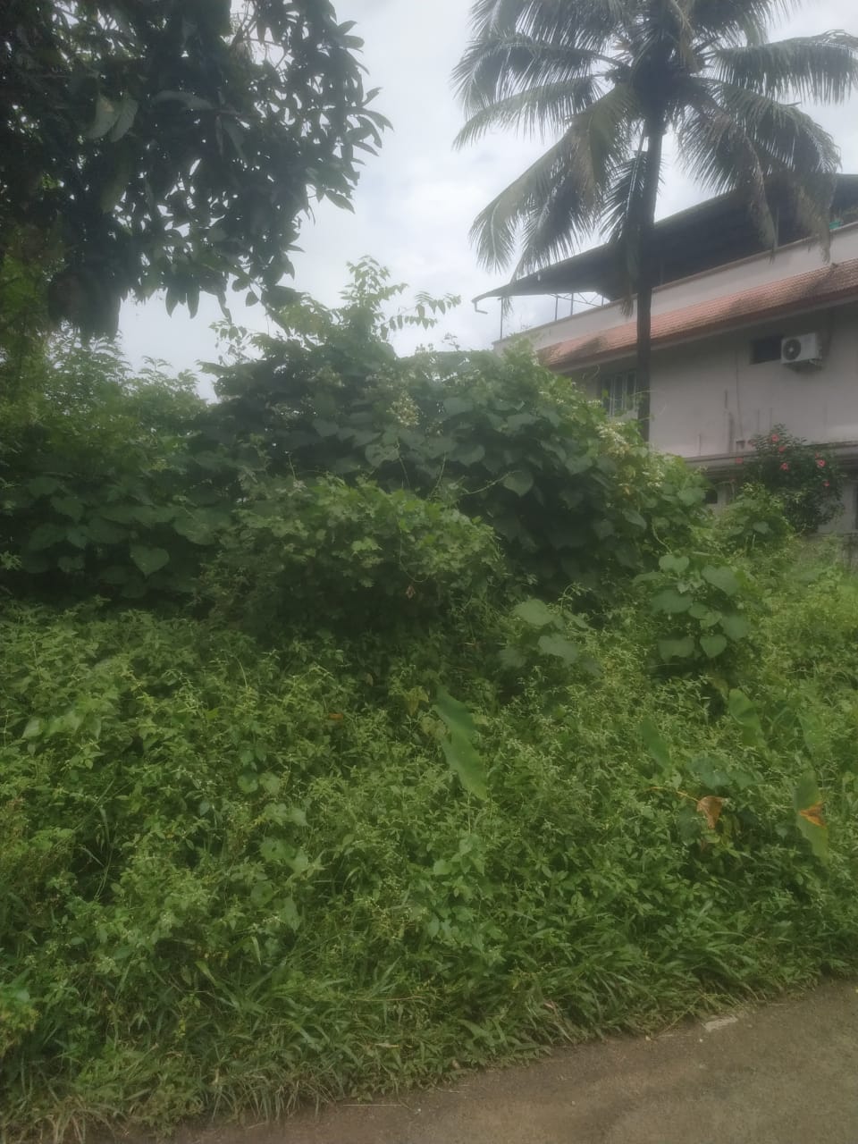 10 cent Residential Land - for sale in Athani, Kochi ( Ernakulam ), Kerala