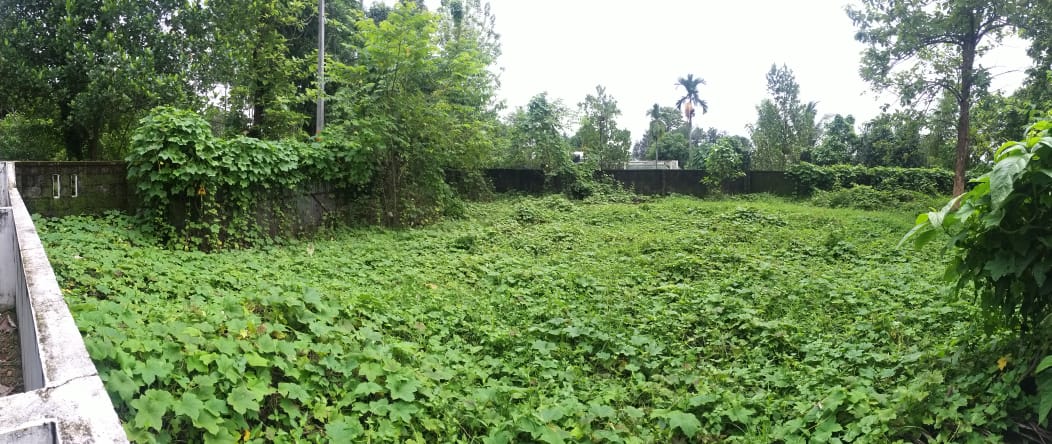 11 cent of Residential Land