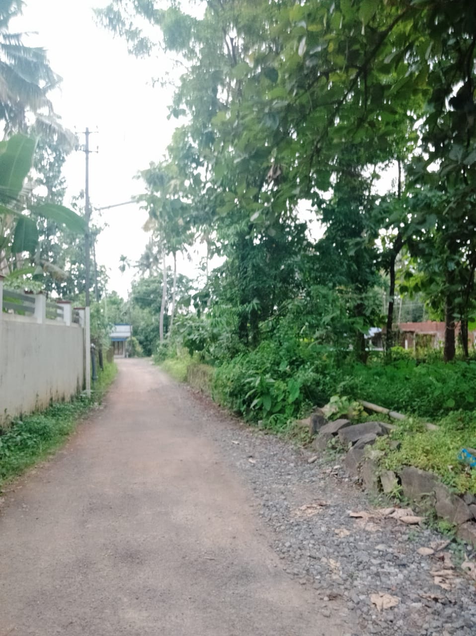 7 cents of Residential Land in Pallikkara - for sale in Pallikkara, Kochi ( Ernakulam ), Kerala