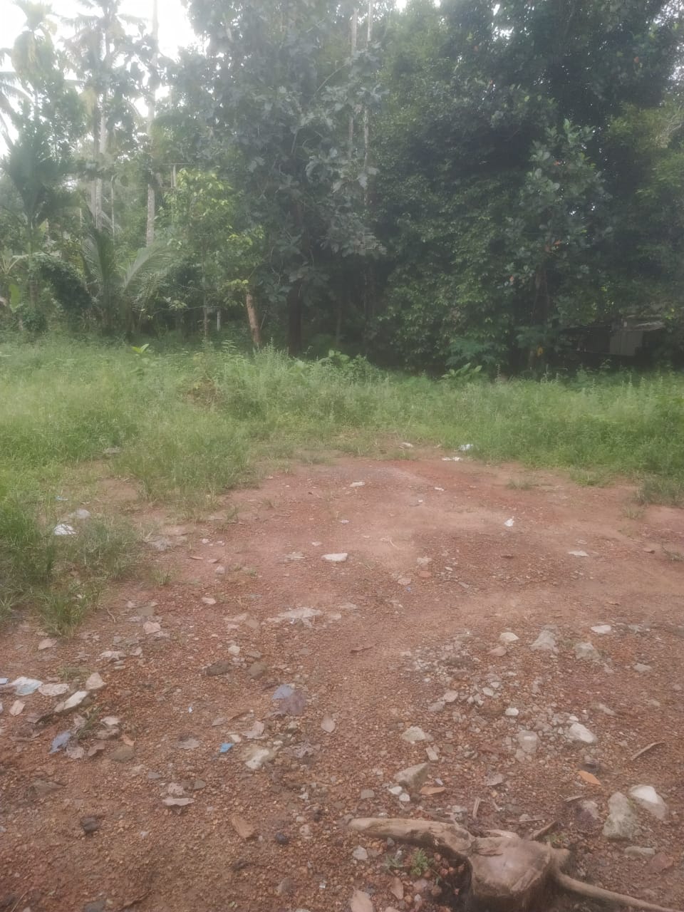 12 cent Original Land - for sale in Athani, Kochi ( Ernakulam ), Kerala