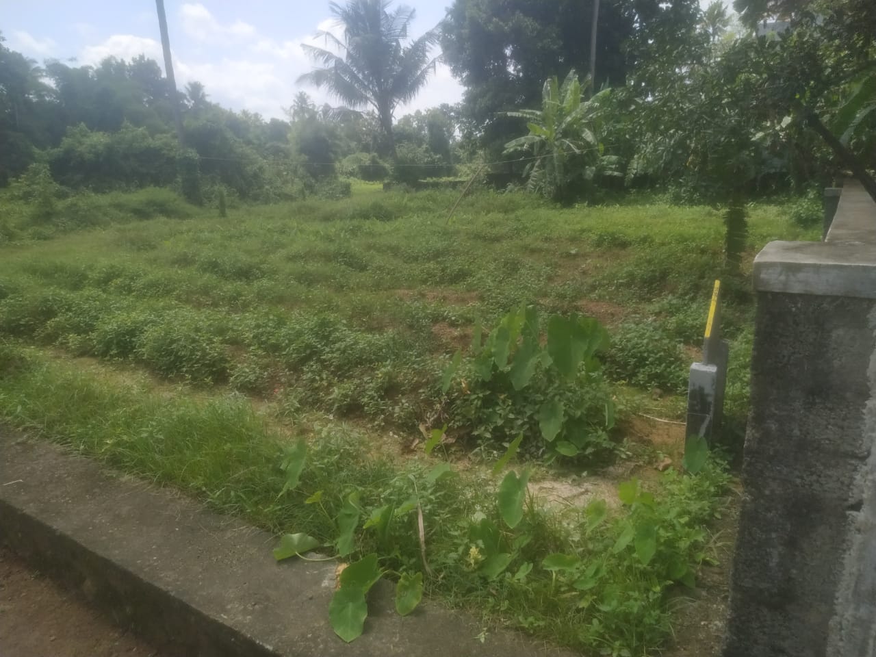 14 Cent  Residential land for sale - for sale in Kariyadangamaly, Kochi ( Ernakulam ), Kerala