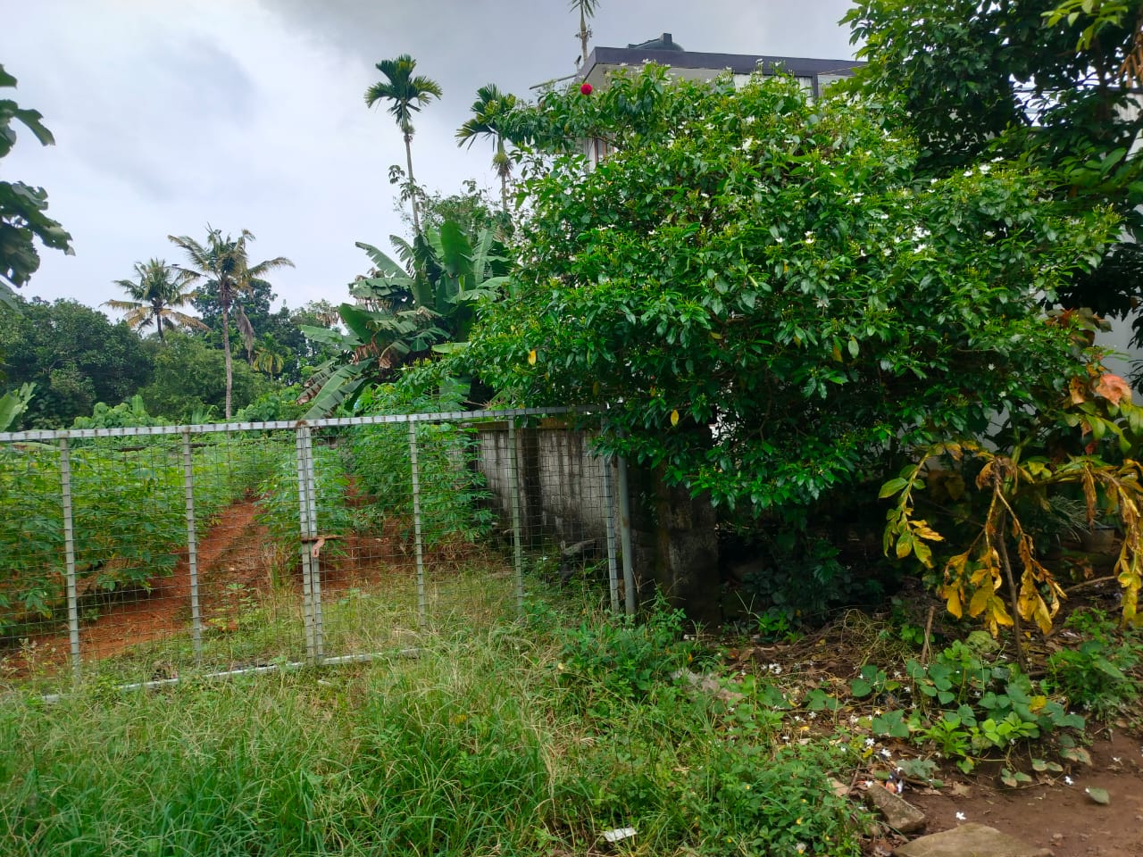 15 cents of Residential Land