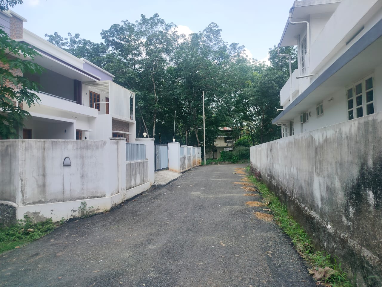 15cent of land Angamaly Karayamparambu