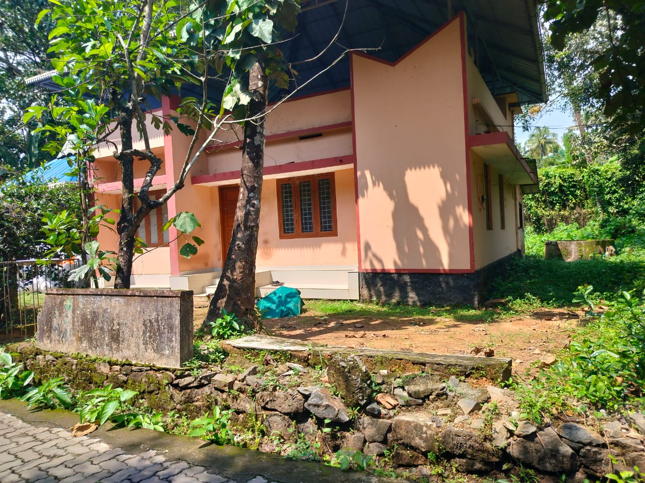 19 cent Residential plot