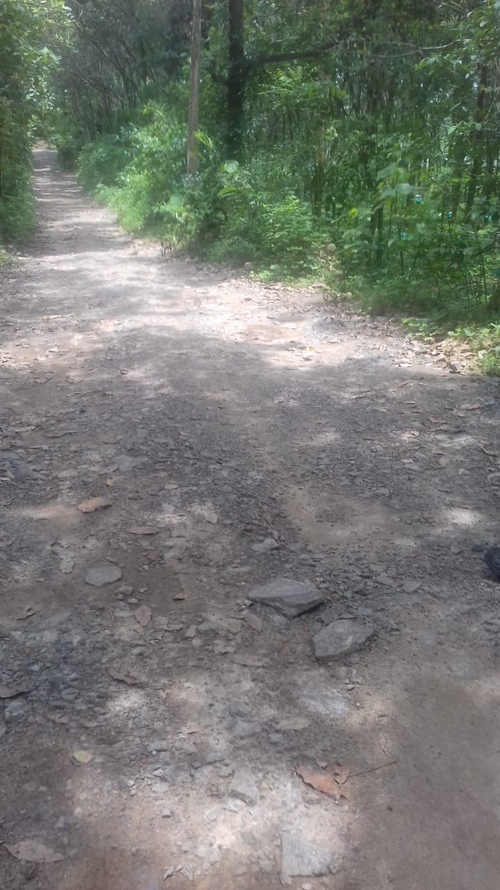 21 Acres of Commercial Land