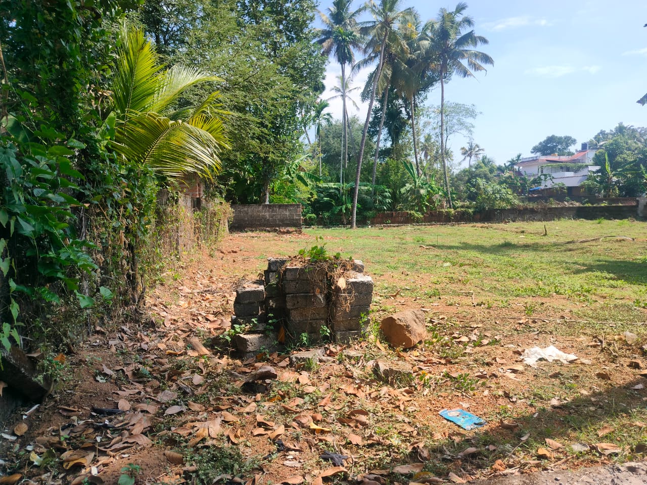 22 cent of land in Athani