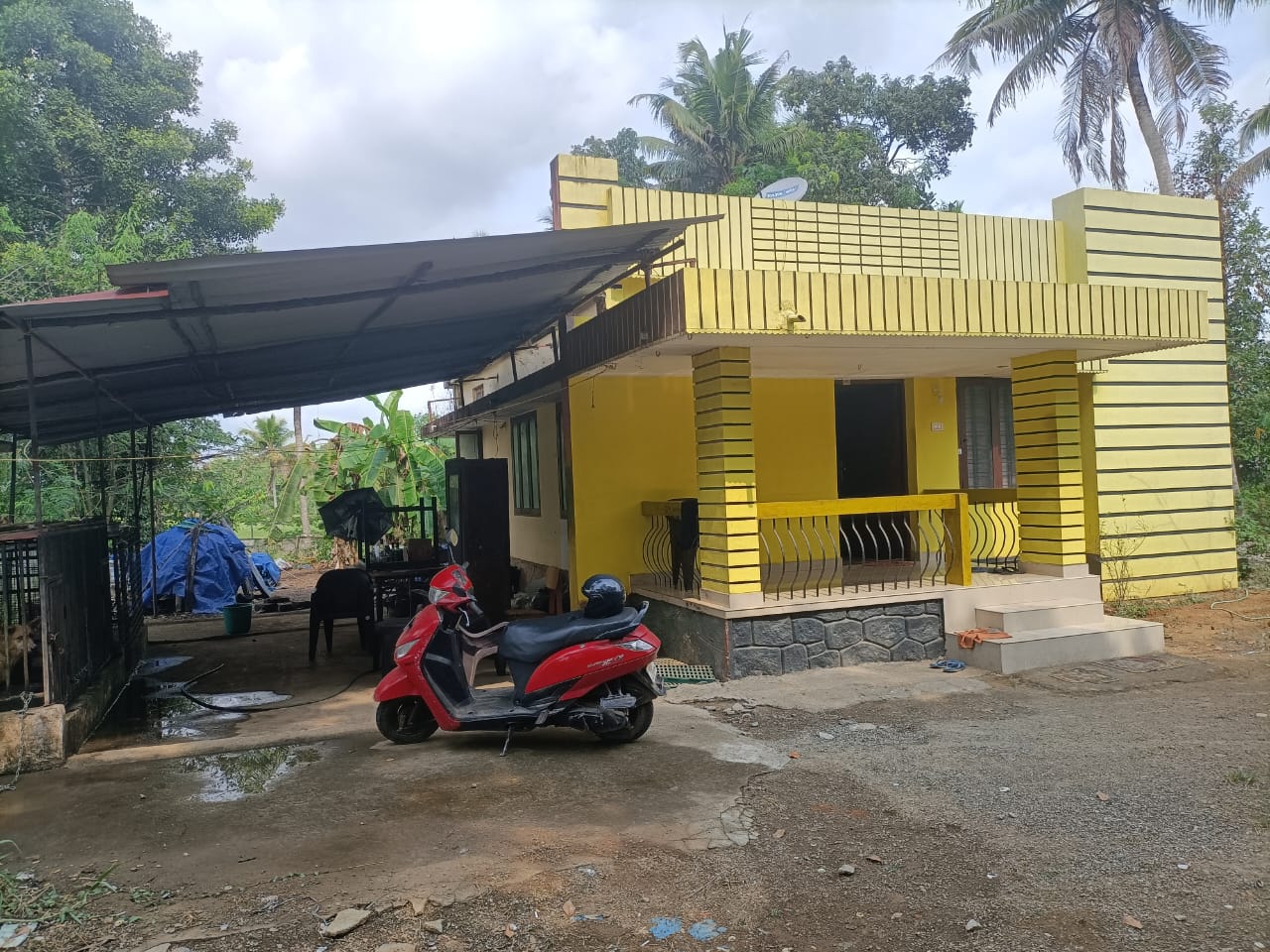2BHK House with 7cent Land1000sqft - for sale in Airport Angamaly, Kochi ( Ernakulam ), Kerala