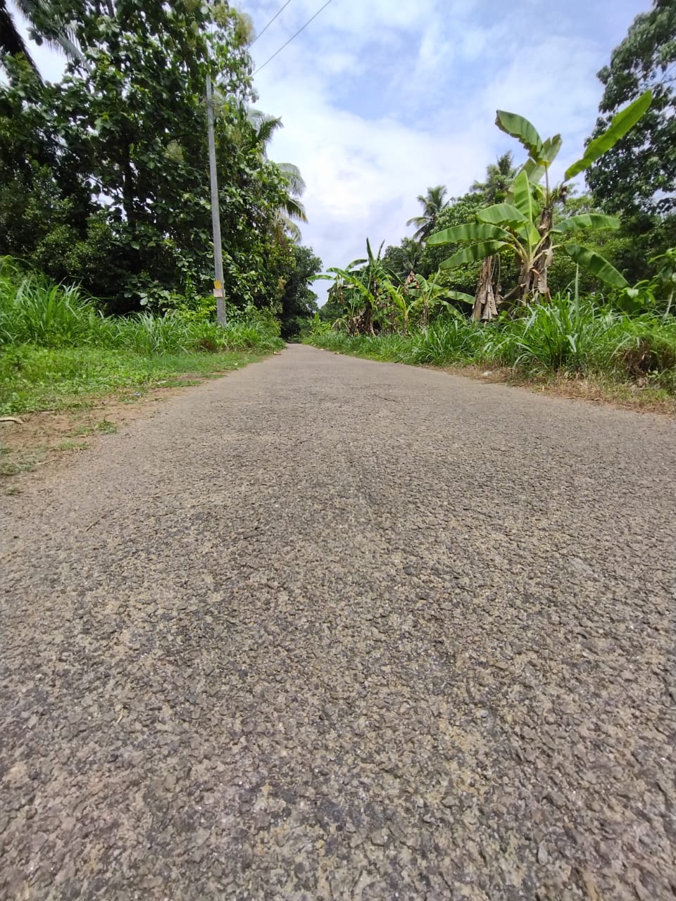 2 Acres of Prime Commercial/ Residential plots in Vagamon