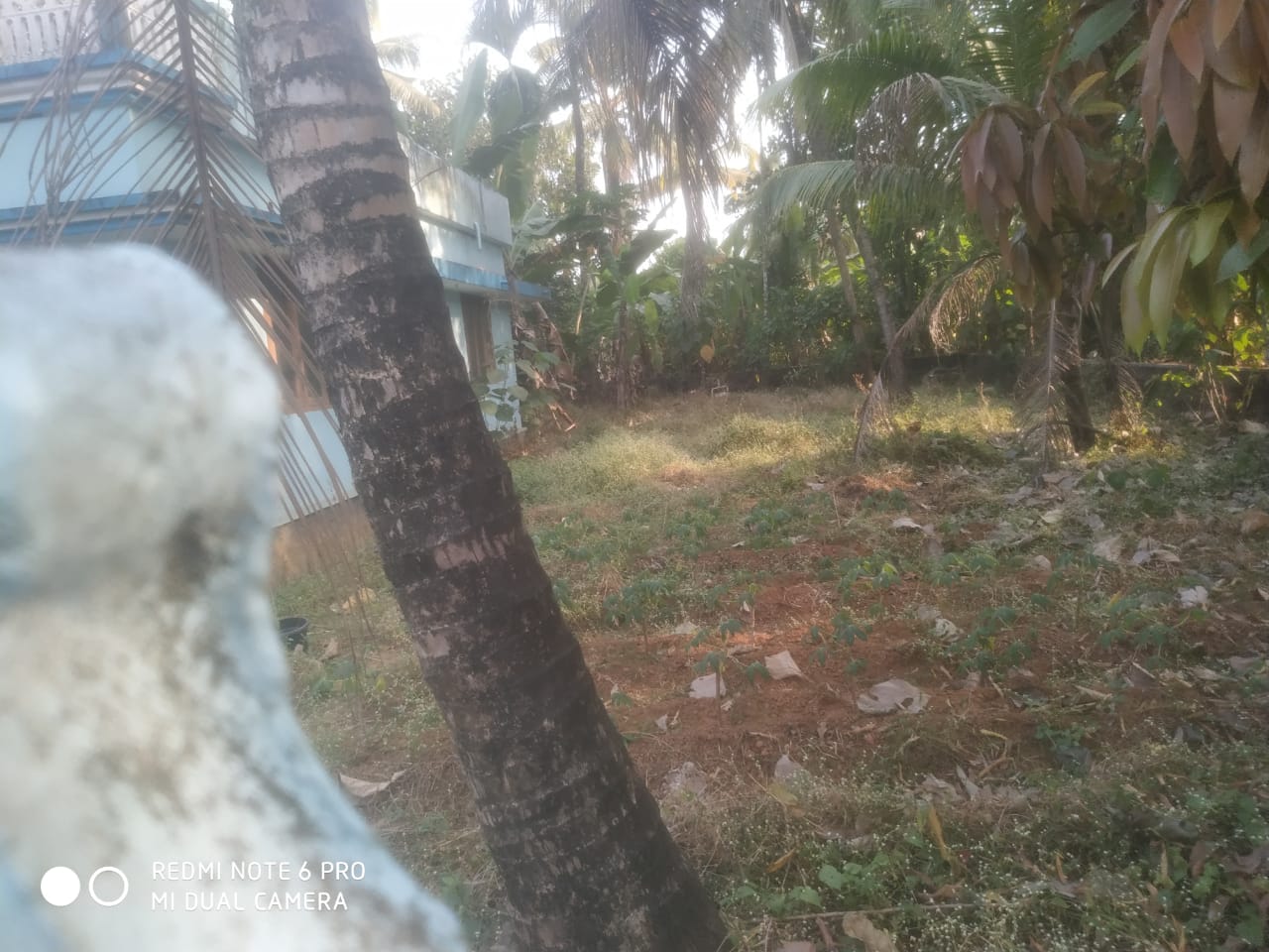 3BHK Semifurnished House1800sqft