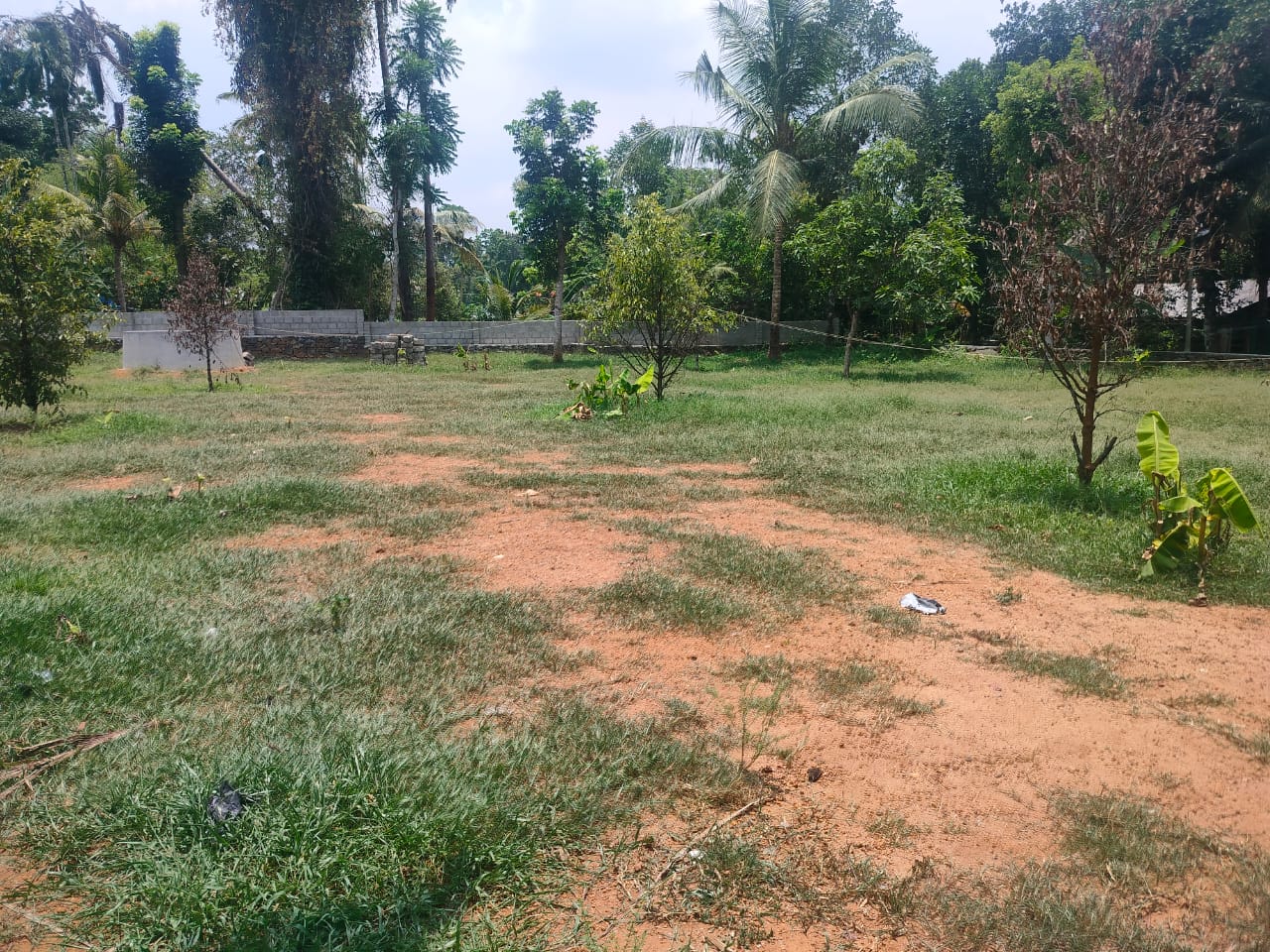 47cent of land Elavoor, Angamaly