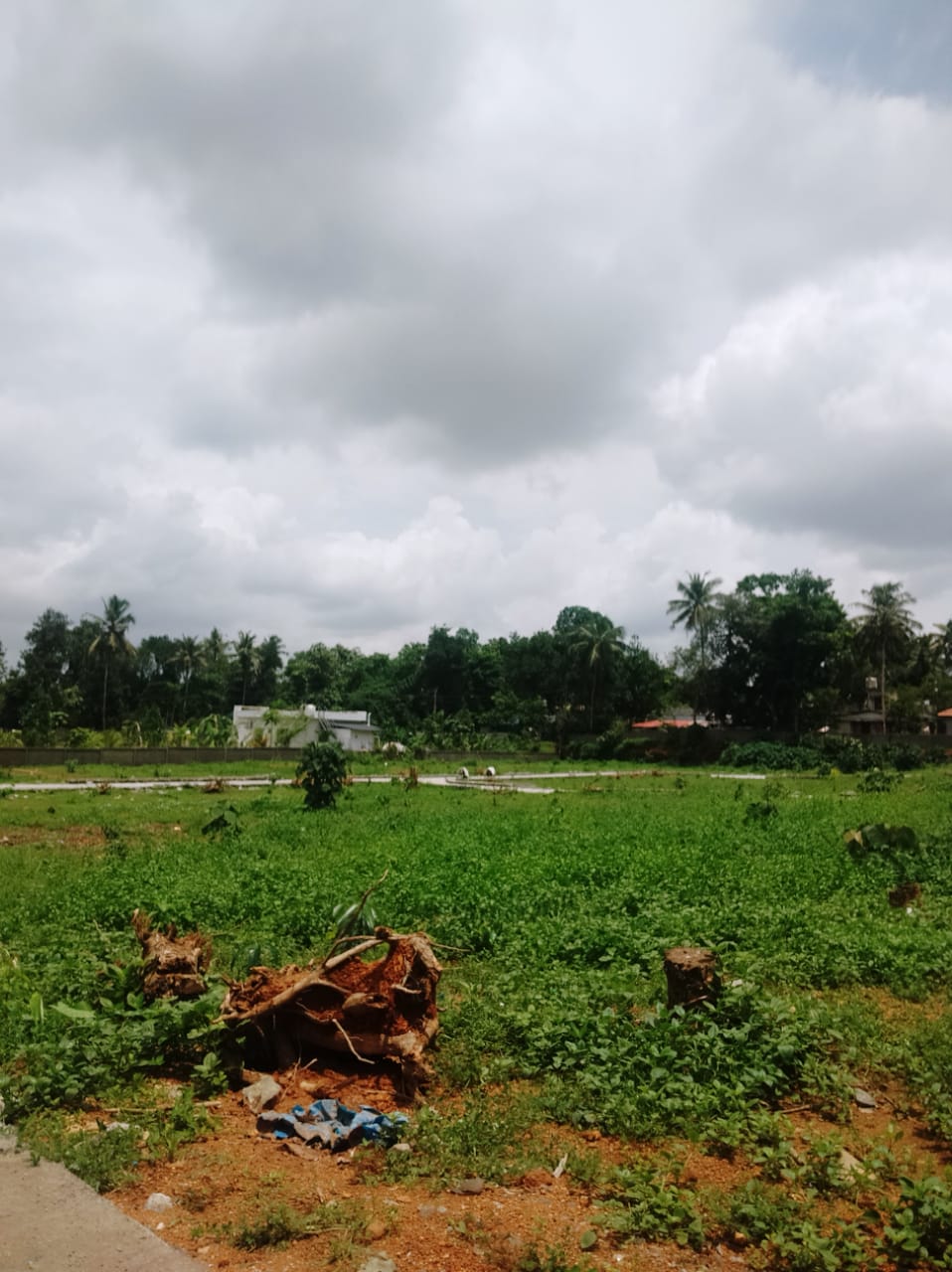4BHK Semifurnished House1750sqft in Tripunithra