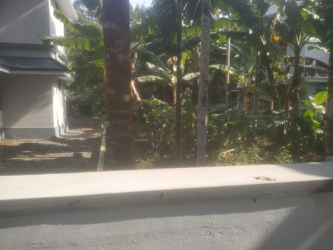 5BHK Semifurnished House with 24 Cent Land2500sqft - for sale in manjapra, Kochi ( Ernakulam ), Kerala