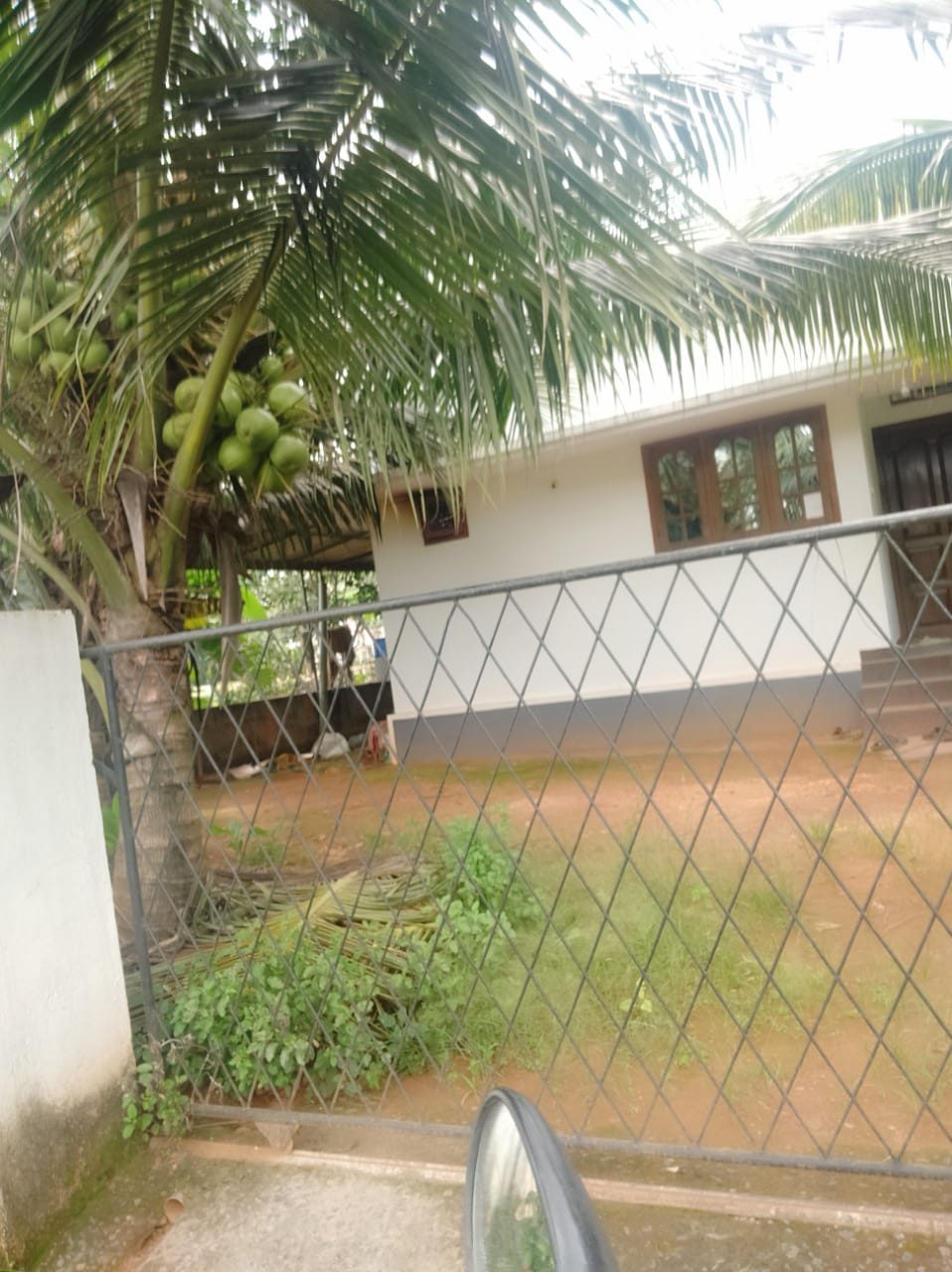 10.50cent of Residential Plot in Kakkanad