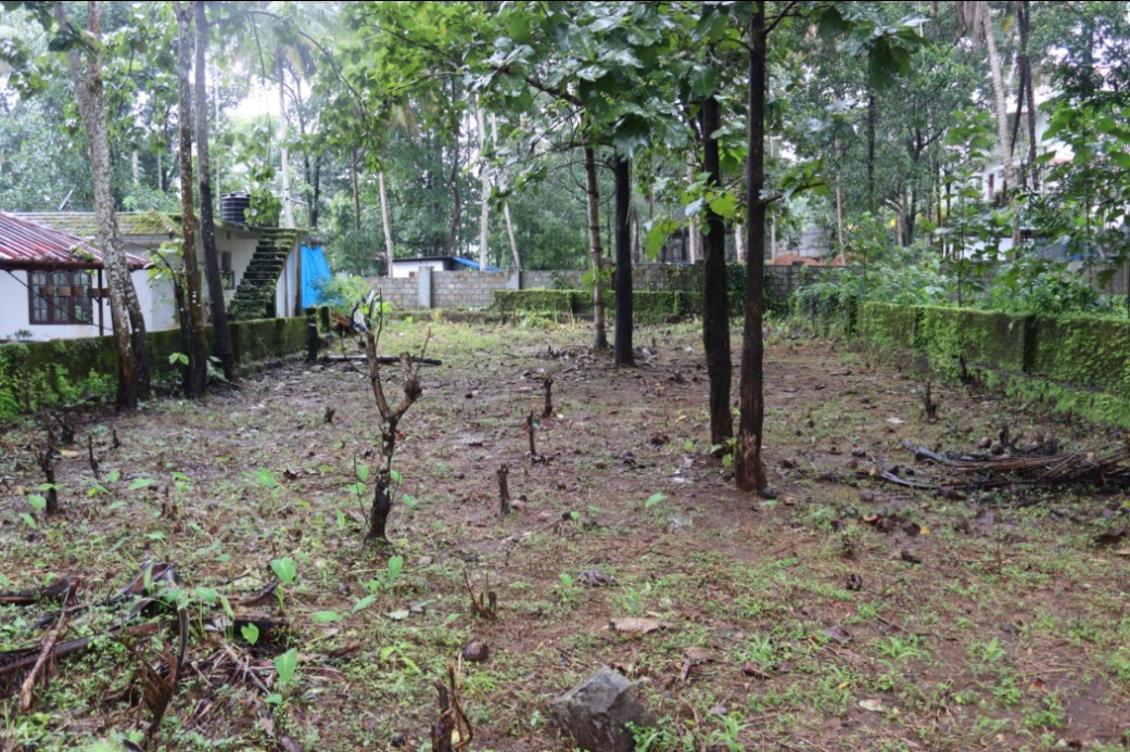 4BHK Brandnew House with 4cent land 1900sqft in Maradu