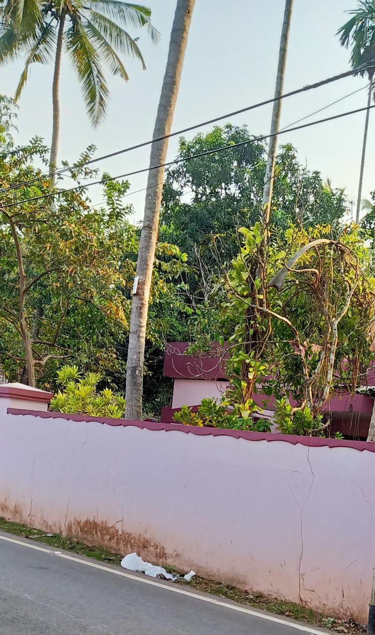 12.50Cents of Land with an Old House - for sale in Chevarambalam, Calicut, Kerala