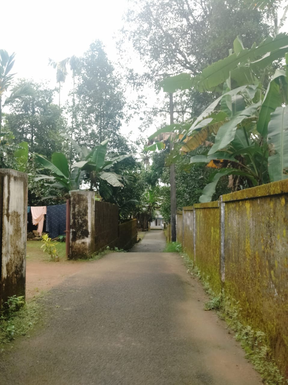 30 Cents of Land - for sale in Edakkunnu Chalakkudy, Thrissur, Kerala
