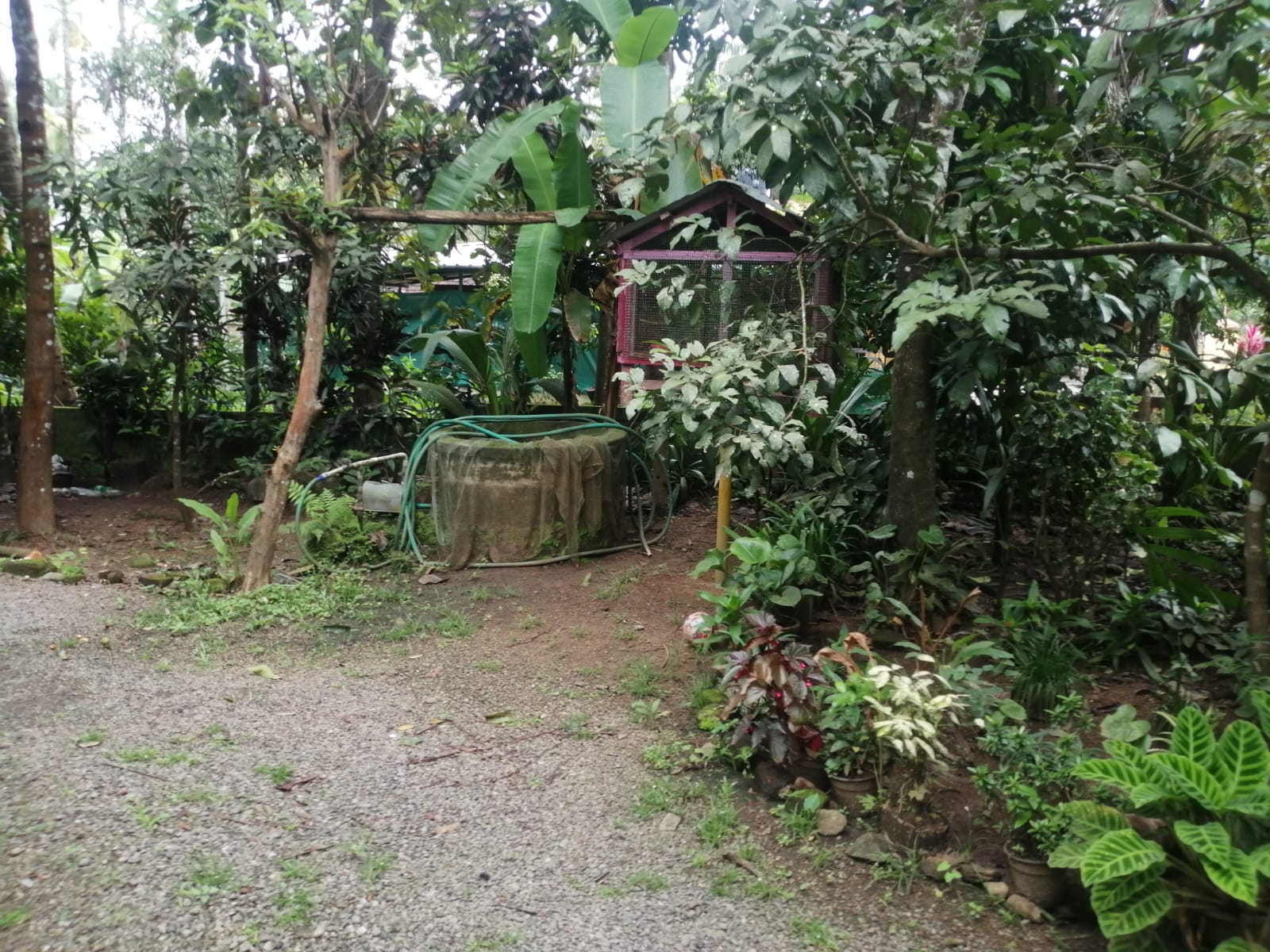 4BHK Semifurnished House with 30Cent Land2750sqft - for sale in Chalakudy Thrissur, Thrissur, Kerala
