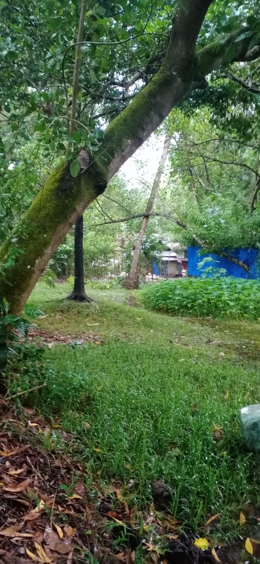 10 Cent land with an old House for sale.