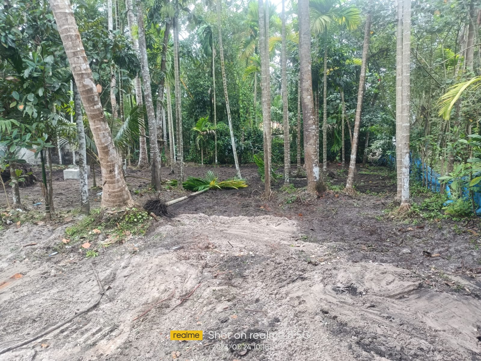 26 Cents of Land - for sale in Cherthala Alapuzha, Alappuzha, Kerala