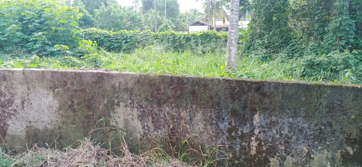 28Cents of Commercial or Residential Land