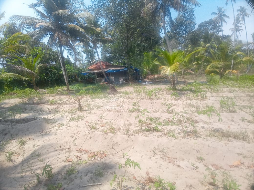 47cents of Land - for sale in Puthanambalam, Alappuzha, Kerala