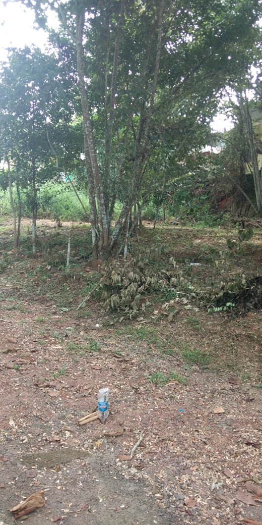25Cents  of  Residential Plot - for sale in Chottanikkara, Kochi ( Ernakulam ), Kerala