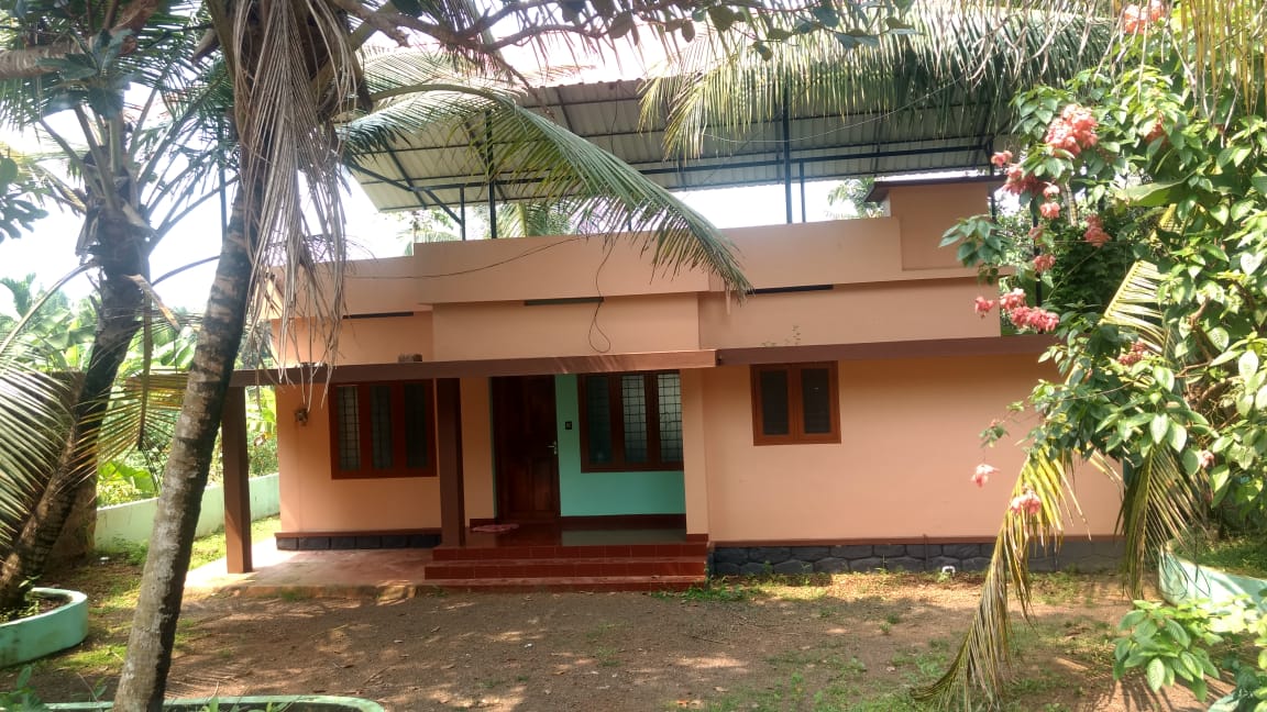 2BHK Semifurnished House with 6 Cents Land 950sqft - for sale in Eruvely, Kochi ( Ernakulam ), Kerala