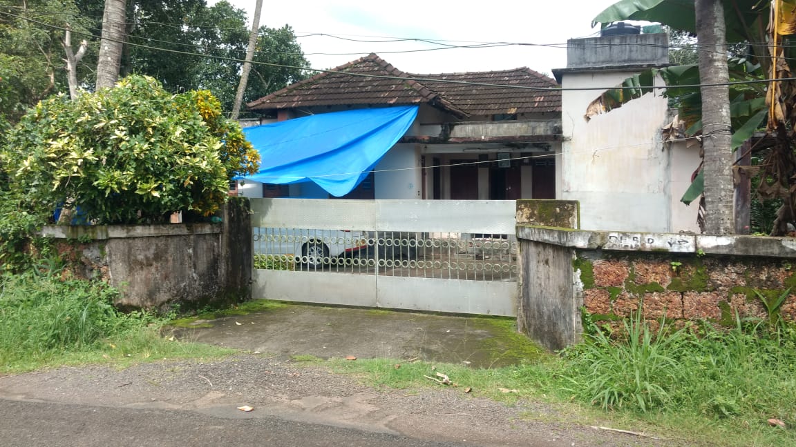 37 Cent land for sale. - for sale in Chottanikkara, Kochi ( Ernakulam ), Kerala