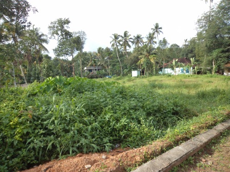 38 cents of land