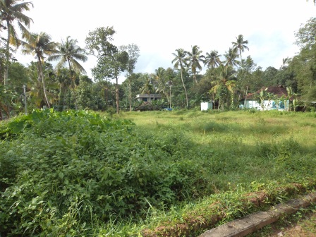 38 cents of land