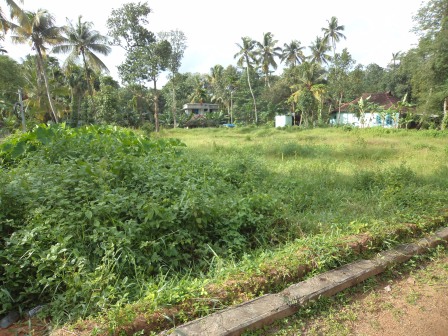 38 cents of land