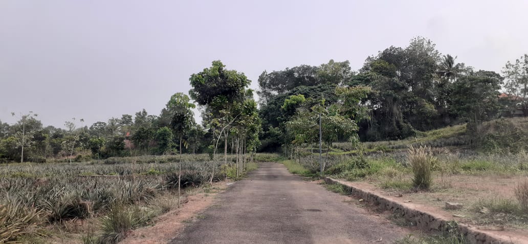 2800qft, 4BHK British Colonial type Posh House in 22cent near Ettumanoor, Kottayam