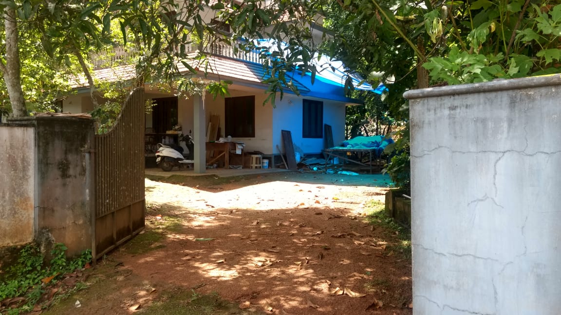 15 cent land in Nedumbassery
