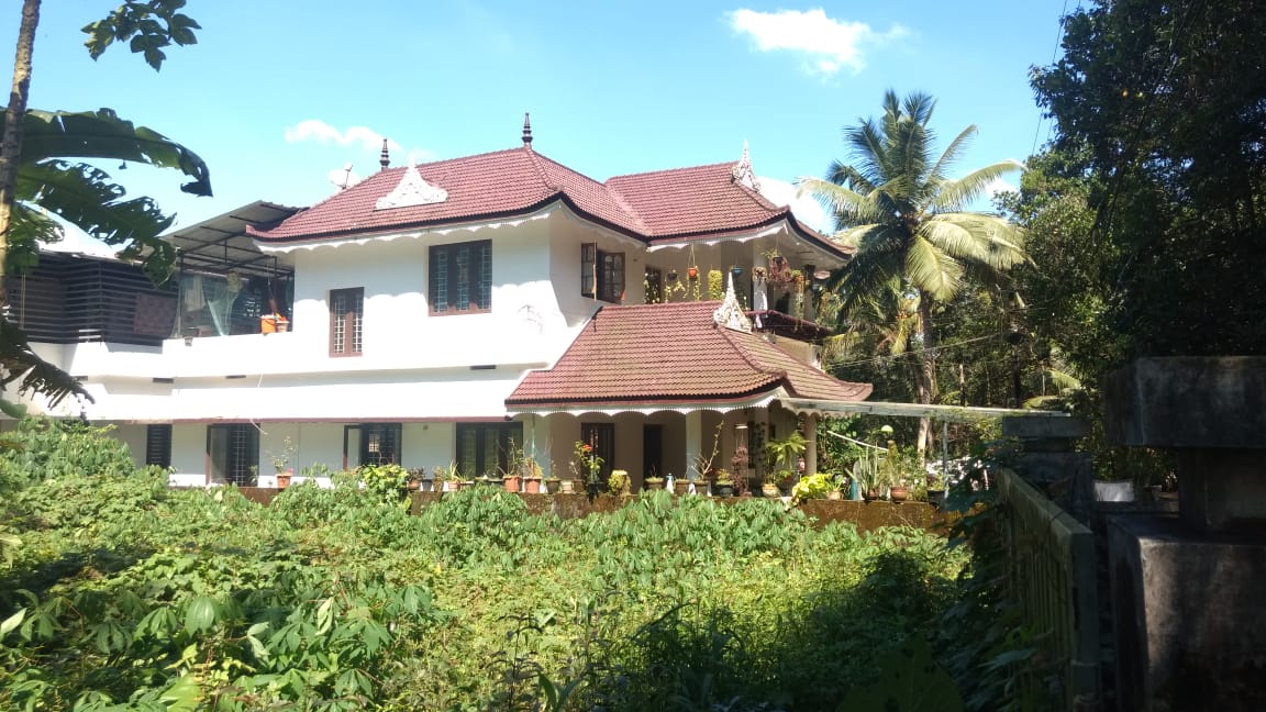 4BHK Semifurnished House  with 5.50Cent Land 1950 - for sale in Eruvely, Kochi ( Ernakulam ), Kerala