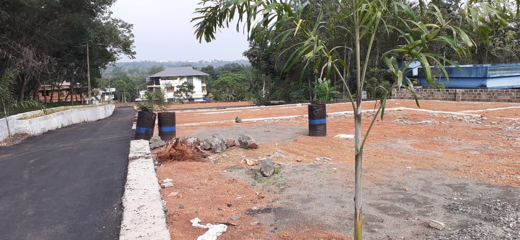 31000sqft Godown with 165cent in Puthencruz, Ernakulam