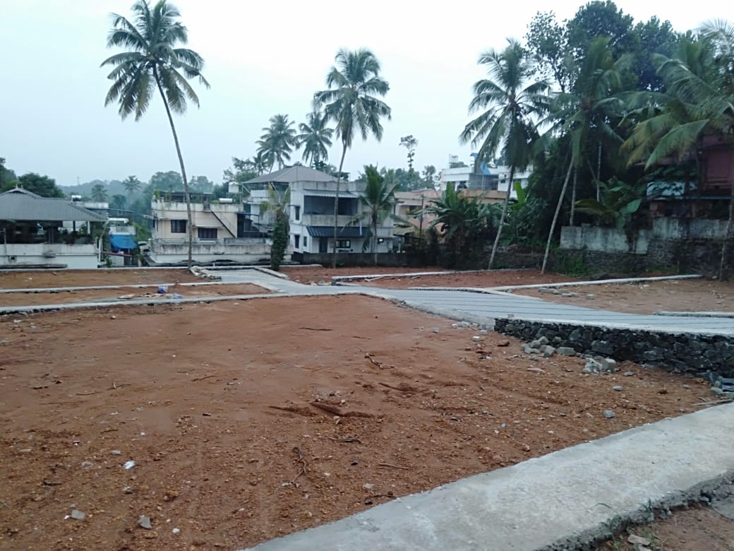 1950 sqft, 3BHK Fully Furnished Luxury Flat, Kaloor