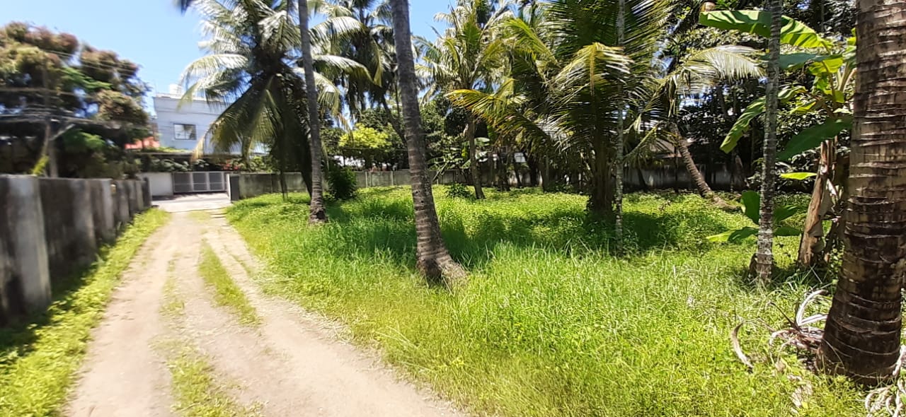 8.800 cents of Land in a Gated Villa in Kumaranasan Nagar, Kadavanthra