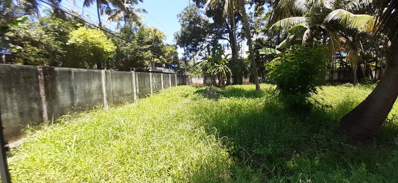 8.800 cents of Land in a Gated Villa in Kumaranasan Nagar, Kadavanthra