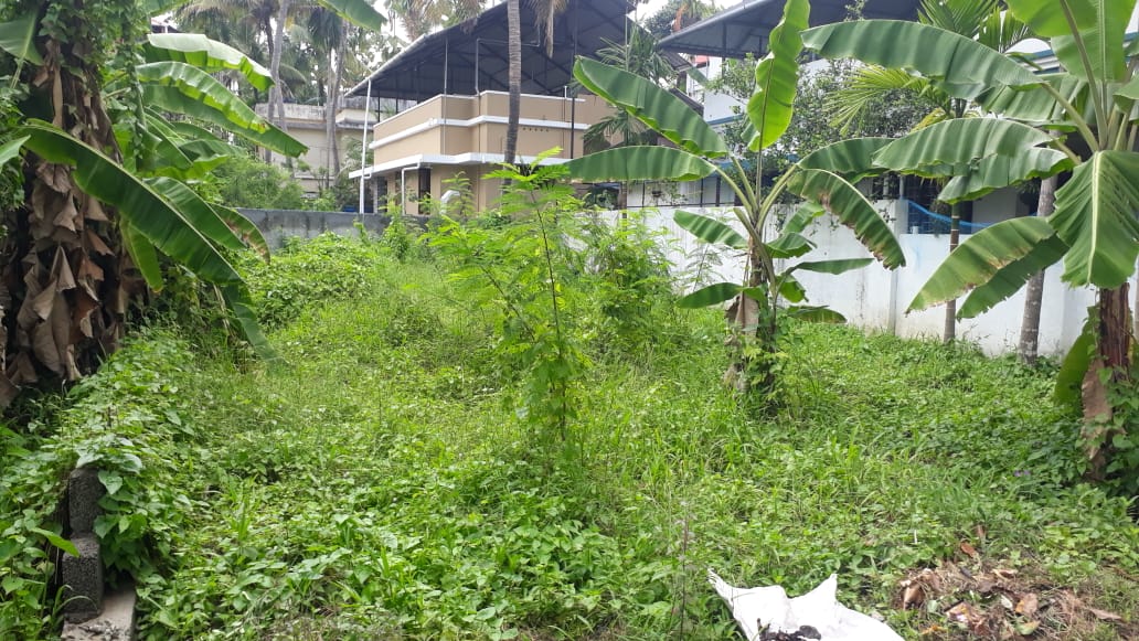 4Cents of Land
