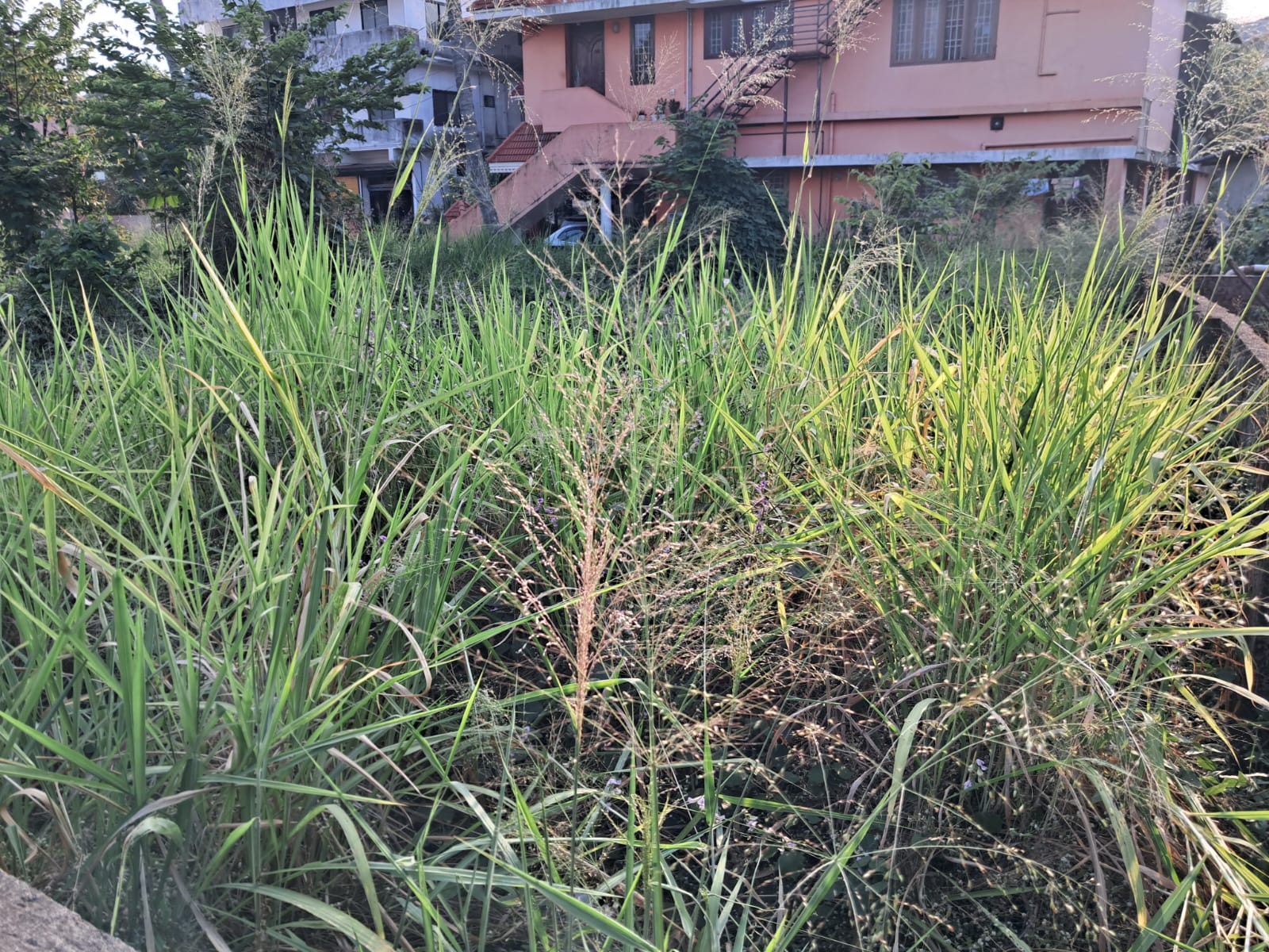 5 & 10 cent of residential/ semi-Commercial plots