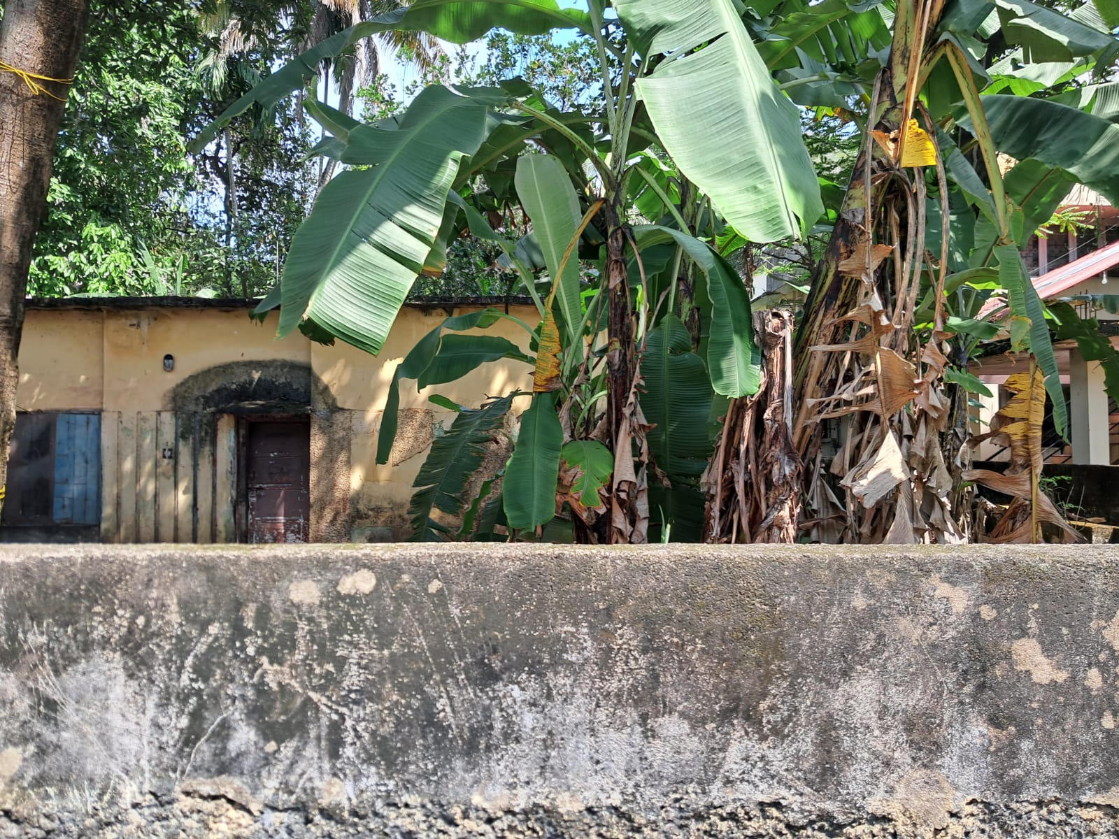 12 cents of Commercial property - for sale in Thevara, Kochi ( Ernakulam ), Kerala