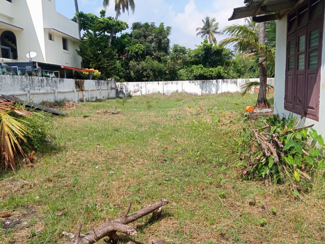 20 cent of Residential Land
