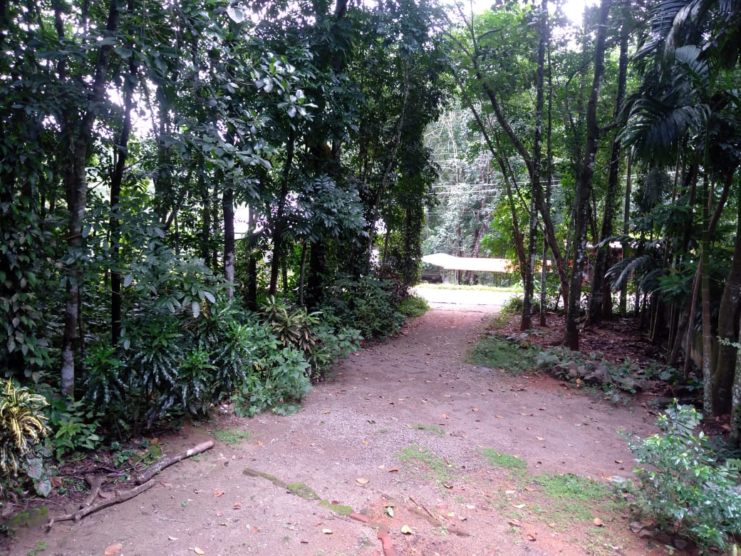 56 Cents of Land with a house